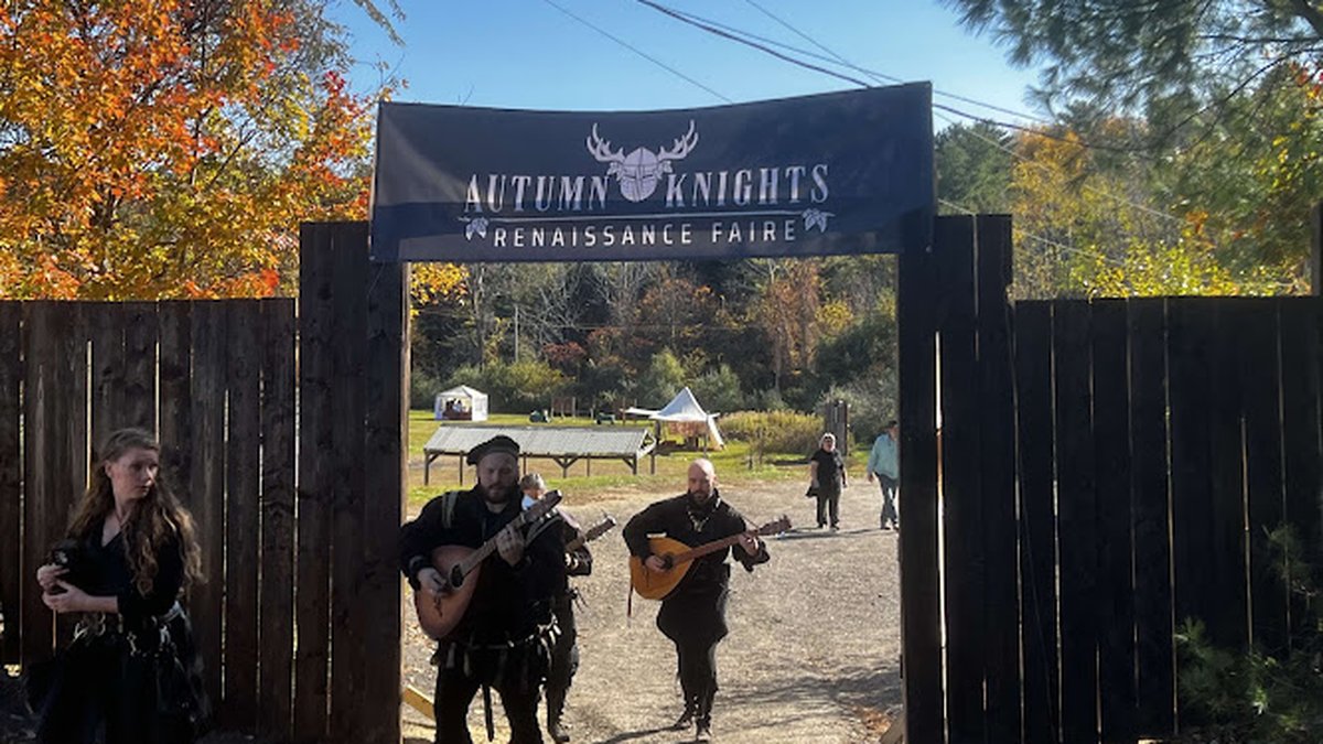 Silver Kingdom Renaissance Faire