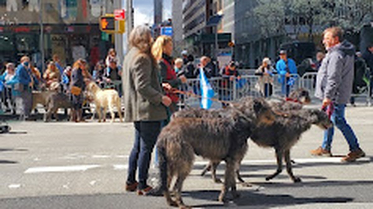 Tartan Day